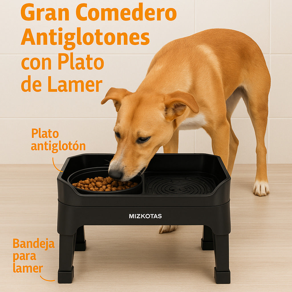 Mizkotas - Set Elevado 4 en 1 con Slow Feeder y 2 Cuencos Antiderrame 1.6 L
